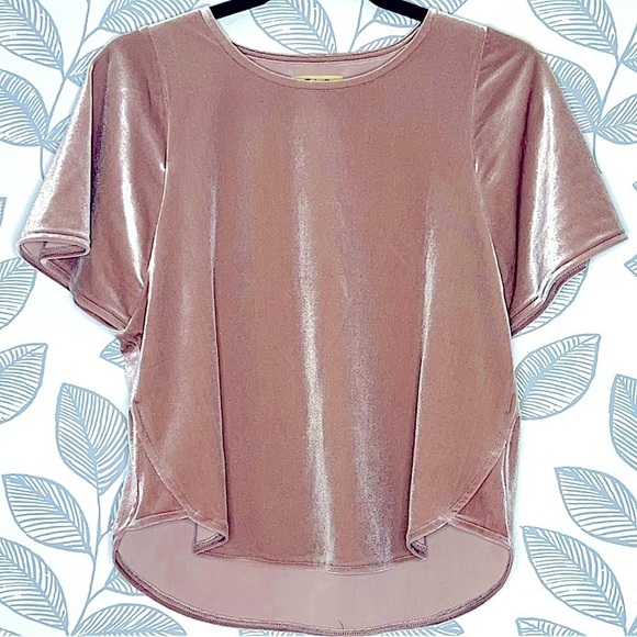 Madewell Top Size XXS Velvet Butterfly Tee Rose Gold Pink Shiny Boxy Velour - Picture 1 of 9